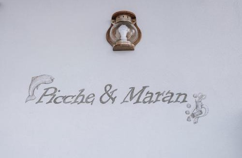 Peveragno House | Appartamento Picche