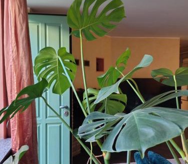 Grassobbio Apartment | Appartamento Sleep&Fly