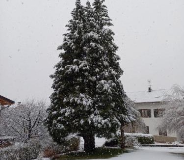Spormaggiore House | Appartamento Tenaglia