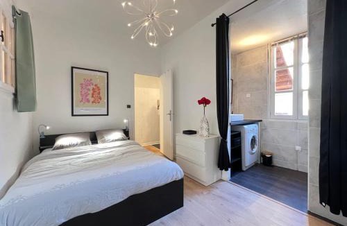 Saint-Etienne Apartment | Appartement 6p au coeur des Carmes