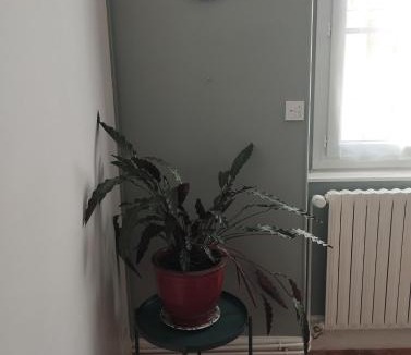 Avallon Apartment | Appartement dans le centre ville d Avallon