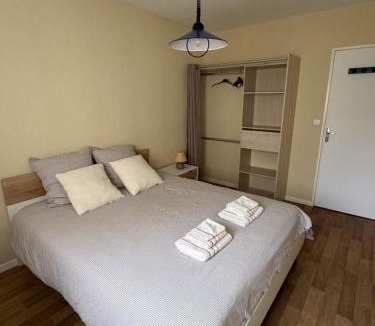 Chaumont Apartment | Appartement proche centre ville