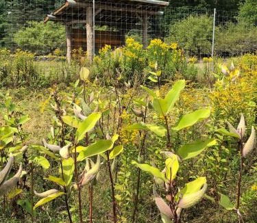 Forestburgh House | Apple Orchard & Forest Retreat with Woodland Pond