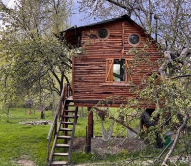 Valea Mare-Pravat Other | Apple Tree Cabin (Friendship Land)