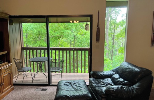Jamestown Condo | Apple Valley Comfy “Treehouse" 2-Bedroom Condo inside Lake Cumberland State Park