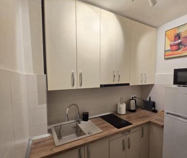 Baia Mare Apartment | Apus