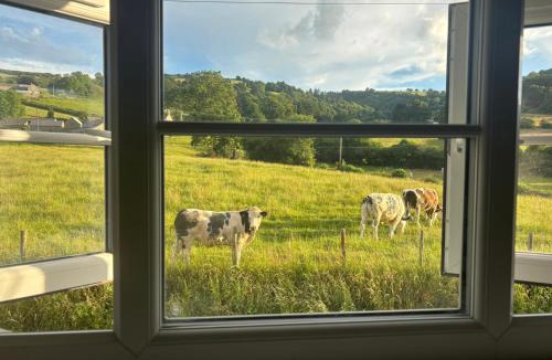 Glyn Ceiriog House | Araelfa