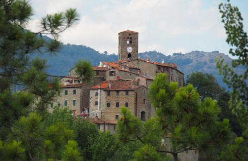 Aramo House | Aramo Verde