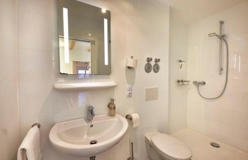 Regenhutte Apartment | Arber Lofts in Bayerisch Eisenstein