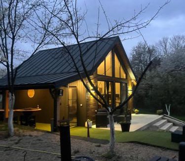 Vadu Crisului House | Arbor