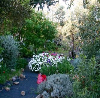 Eresos House | Arcadia Guesthouse