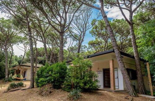 Eraclea Mare Apartment | Arco Bungalow
