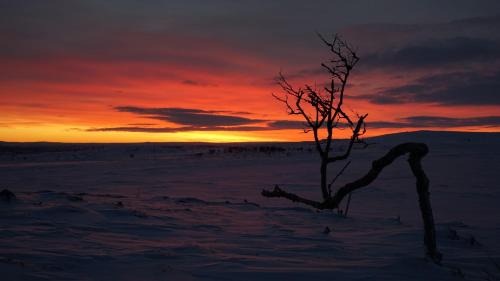 Utsjoki Ski Chalet | Arctic Aurora Borealis cottages
