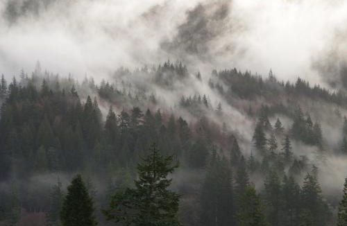 Benmore House | Ard Darach Lodge