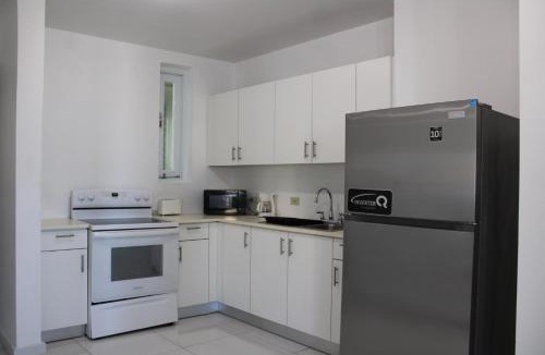 Arecibo Pueblo Apartment | Arecibo Hotel 2107