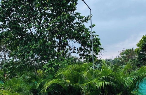 Chachagua Other | Arenal Camping