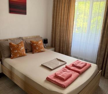 Curtea De Arges Apartment | Argeş Central