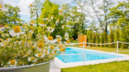 Olympiada Apartment | Aristotelia Gi Ikies - Famous Sporting Event Poolside Retreats
