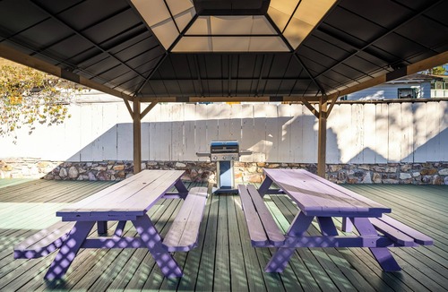 Big Bear Lake Hotel | Arkouda Cabins: Anna's Hummingbird