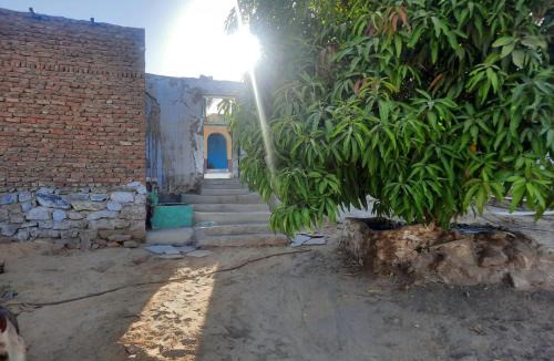 Aswan House | Arman House