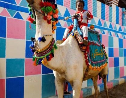Aswan House | Arman House