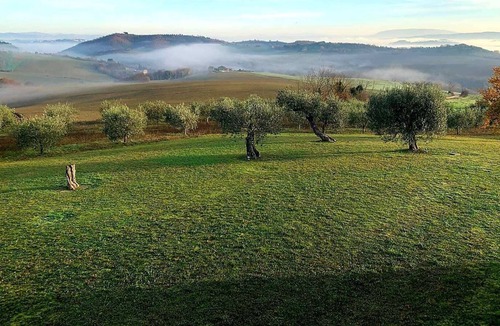 Marsciano Apartment | Armando Apartment at Il Casale di Ceci - Organic Estate in Umbria