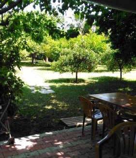 Cirali Cabin | Armina Pension