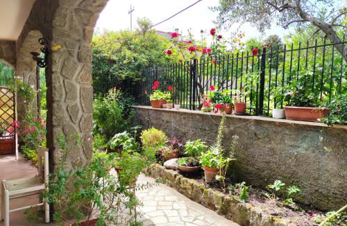 Marino House | Around Rome