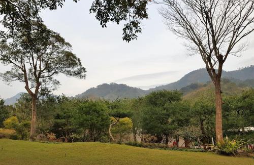 Shitan House | Around The Tree Manor