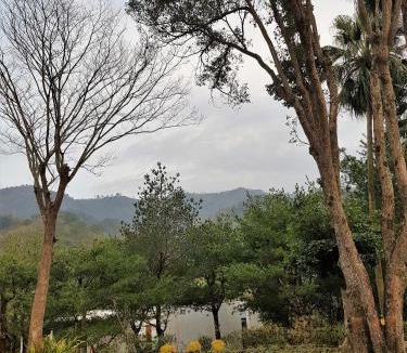 Shitan House | Aroundthetree Hermitage