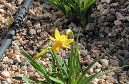 Sao Lourenco Villa | Arrabidays