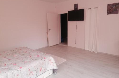 Bistrita Apartment | Art Studio BN