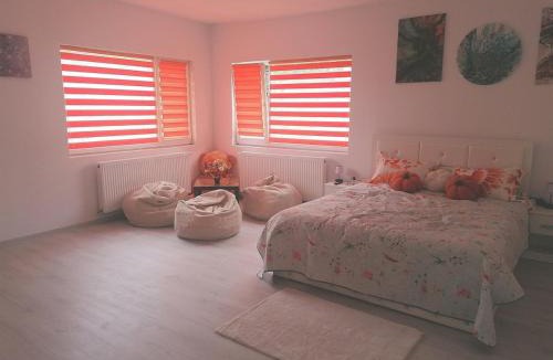 Bistrita Apartment | Art Studio BN