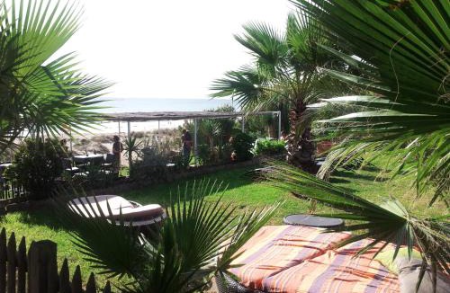 La Costa Hotel | Arte Vida