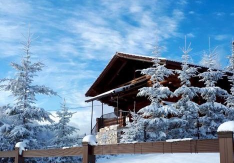 Dambovicioara Ski Chalet | Artem Chalet
