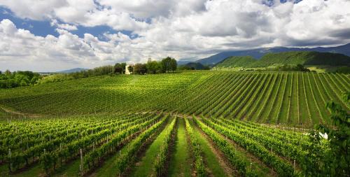 Montebelluna Bed & Breakfast | Artemide Relais