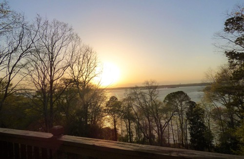 Georgetown Cabin | Artisan Cottage - Lakefront on Lake Eufaula!