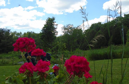 Balderson House | Artisan, spacious home/64 pastoral acres/1 hr west of Ottawa/Fallbrook