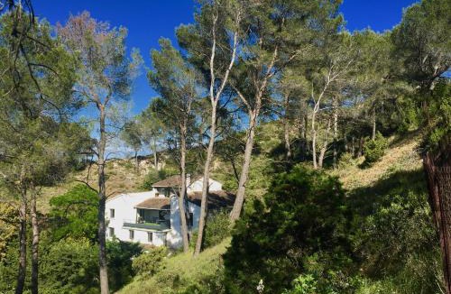 Saint-Etienne-du-Gres Bed & Breakfast | Arty Provence, vue, calme et piscine chauffée dans les Alpilles proche St-Rémy-de-Provence