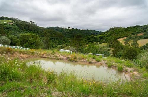 Mafra House | Arty Studio in a farm house