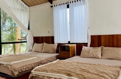 Kejajar Villa | Arutala Nirmala Batu Pandang
