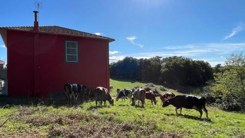 Forcarei House | As Neveiras