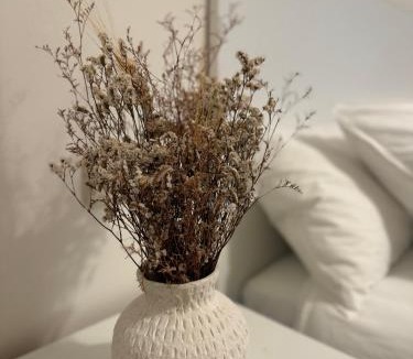 Betanzos Apartment | As Travesas II