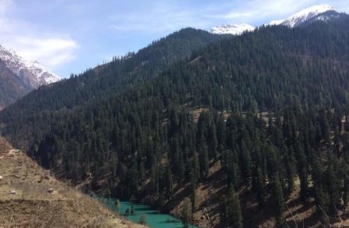 Kasol Hotel | Asaka Lodge