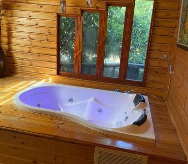Acre Ski Chalet | Asbn Magic Garden