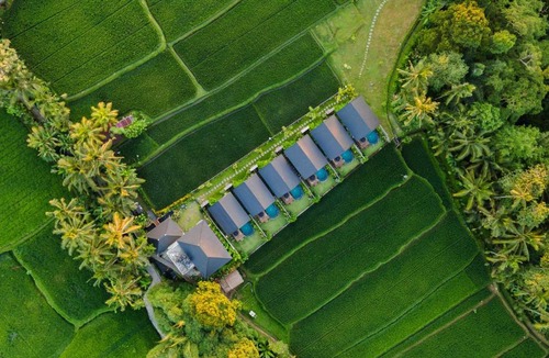 Tegallalang Villa | Ascarya Villa Ubud
