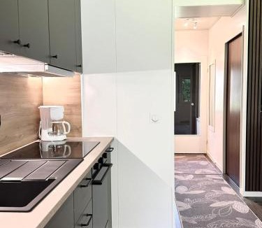 Lapinlahti Apartment | Asemaseutu