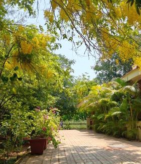Tirumangalam Villa | Ashirwad Home Stay , Rustic , 2 bedroom Villa amidst peacocks