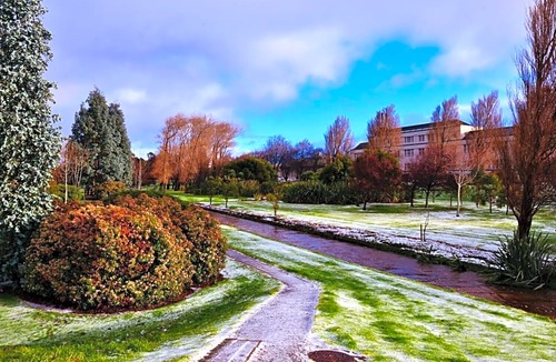 Invercargill City Centre Hotel | Ashlar Motel