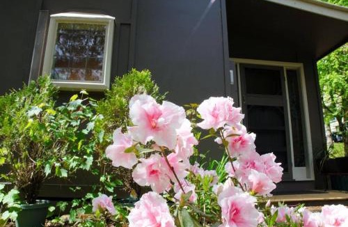 Bright Villa | Ashwood Cottages
